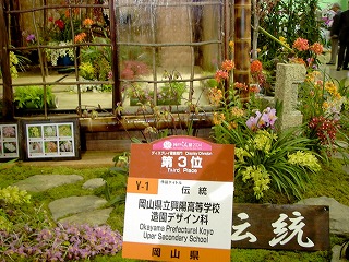 シンビジュウム−展覧会の様子